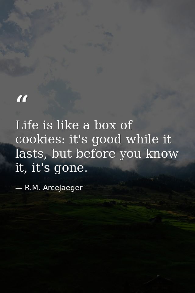 Life is like a box of cookies: it's good while it lasts, but before you know it, it's gone. — R.M. ArceJaeger