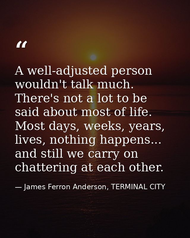 A well-adjusted person wouldn't talk much. There's not a lot to be said about most of life. Most days, weeks, years, liv — James Ferron Anderson, TERMINAL CITY