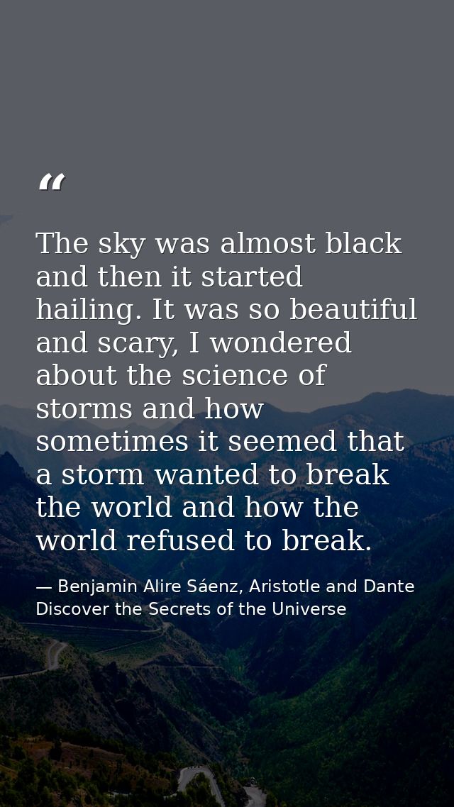 The sky was almost black and then it started hailing. It was so beautiful and scary, I wondered about the science of sto — Benjamin Alire Sáenz, Aristotle and Dante Discover the Secrets of the Universe