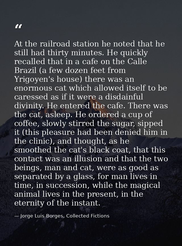 At the railroad station he noted that he still had thirty minutes. He quickly recalled that in a cafe on the Calle Brazi — Jorge Luis Borges, Collected Fictions