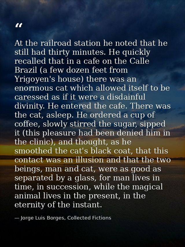 At the railroad station he noted that he still had thirty minutes. He quickly recalled that in a cafe on the Calle Brazi — Jorge Luis Borges, Collected Fictions