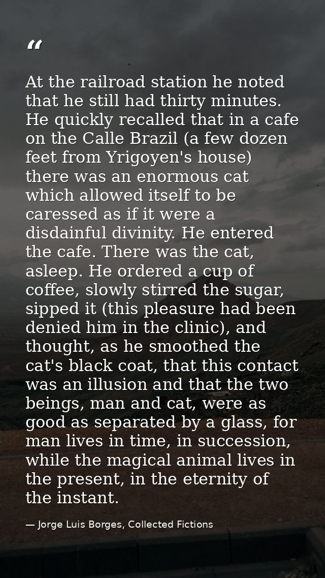 At the railroad station he noted that he still had thirty minutes. He quickly recalled that in a cafe on the Calle Brazi — Jorge Luis Borges, Collected Fictions