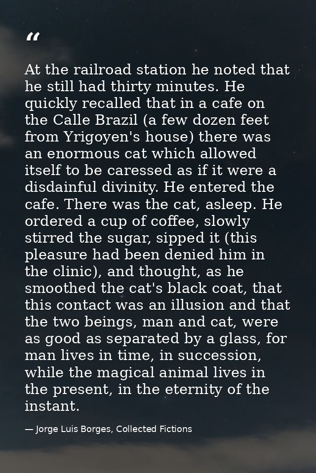 At the railroad station he noted that he still had thirty minutes. He quickly recalled that in a cafe on the Calle Brazi — Jorge Luis Borges, Collected Fictions