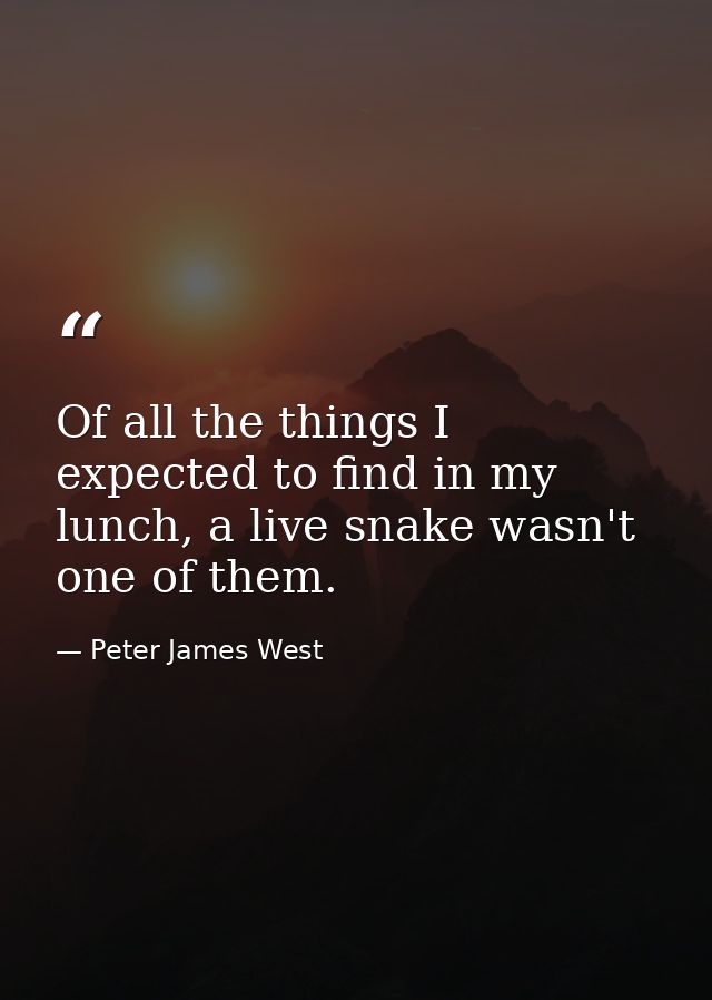 Of all the things I expected to find in my lunch, a live snake wasn't one of them. — Peter James West