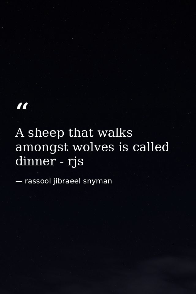 A sheep that walks amongst wolves is called dinner - rjs — rassool jibraeel snyman