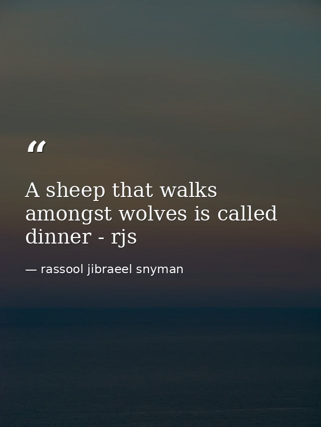 A sheep that walks amongst wolves is called dinner - rjs — rassool jibraeel snyman