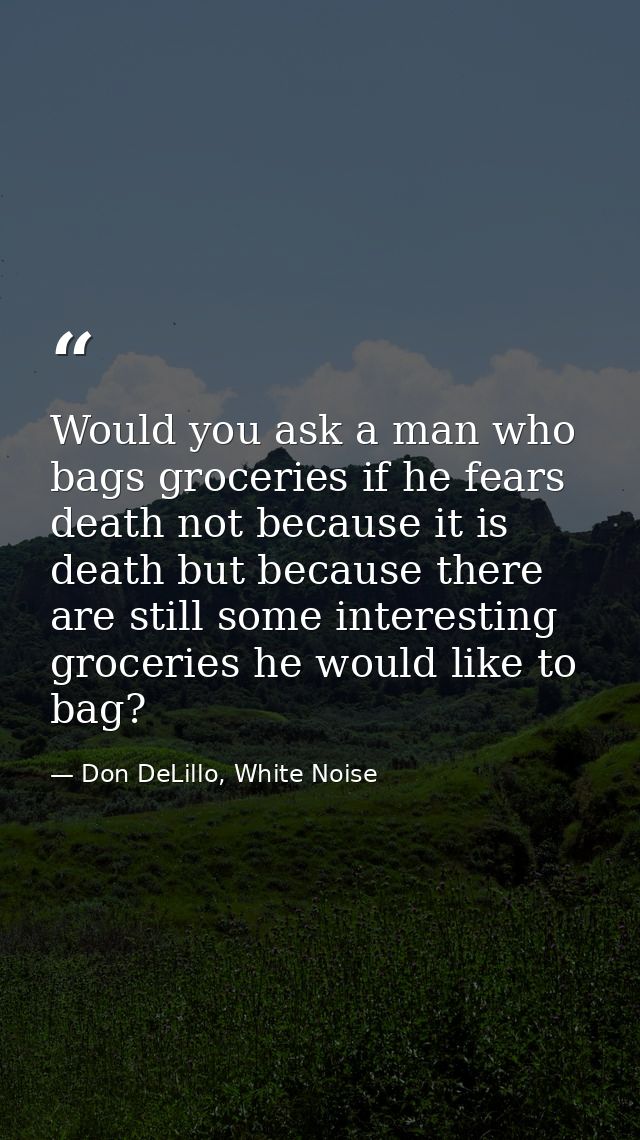 Would you ask a man who bags groceries if he fears death not because it is death but because there are still some intere — Don DeLillo, White Noise
