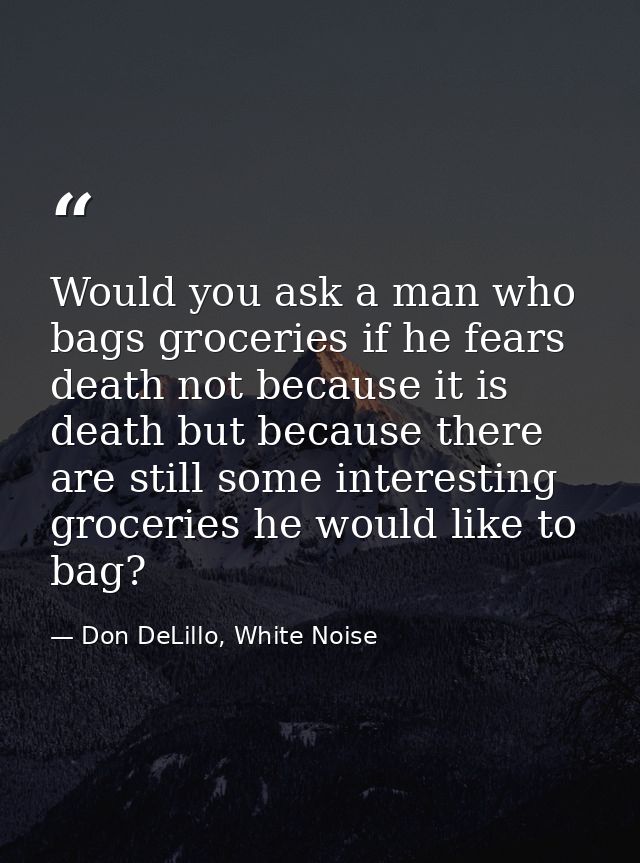 Would you ask a man who bags groceries if he fears death not because it is death but because there are still some intere — Don DeLillo, White Noise