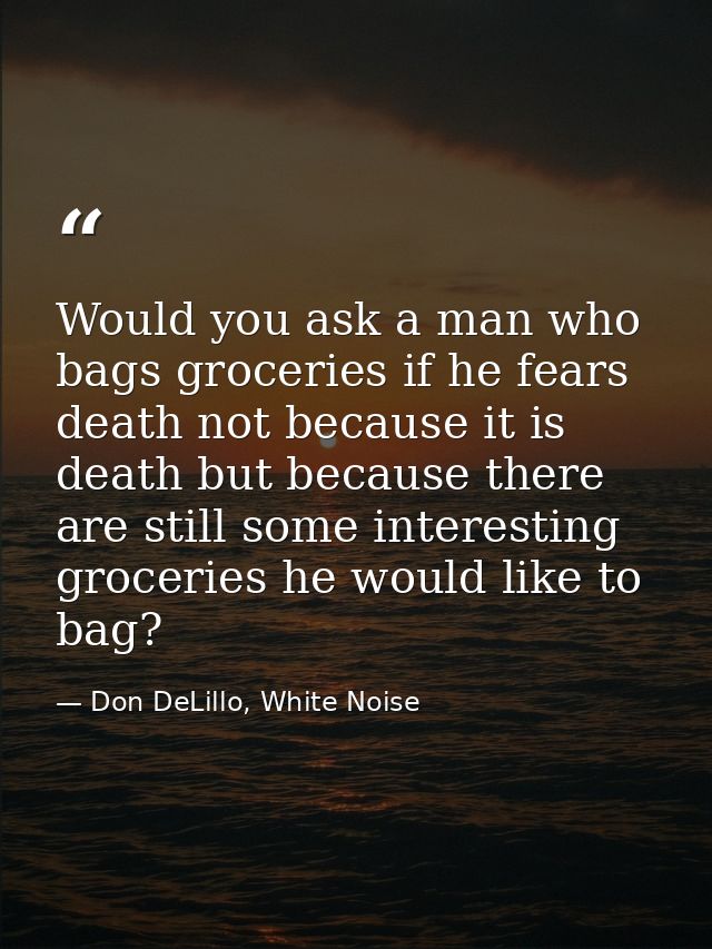 Would you ask a man who bags groceries if he fears death not because it is death but because there are still some intere — Don DeLillo, White Noise