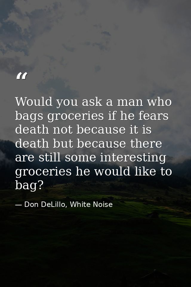 Would you ask a man who bags groceries if he fears death not because it is death but because there are still some intere — Don DeLillo, White Noise