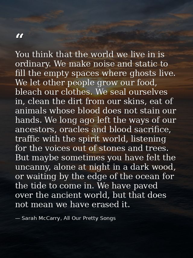You think that the world we live in is ordinary. We make noise and static to fill the empty spaces where ghosts live. We — Sarah McCarry, All Our Pretty Songs