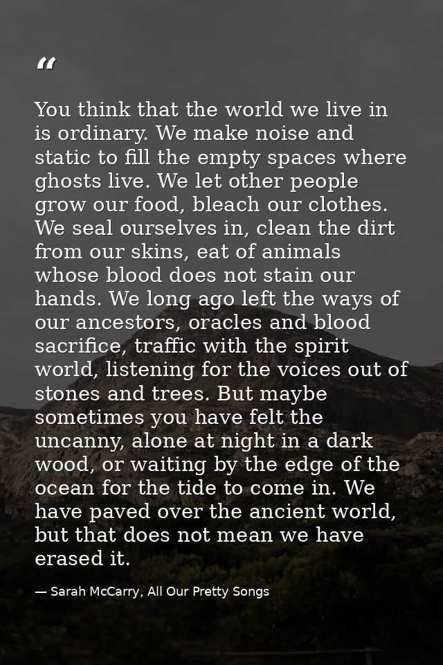 You think that the world we live in is ordinary. We make noise and static to fill the empty spaces where ghosts live. We — Sarah McCarry, All Our Pretty Songs