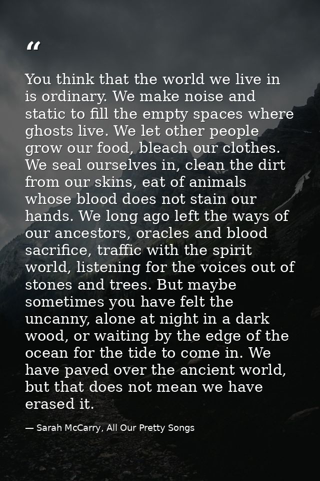 You think that the world we live in is ordinary. We make noise and static to fill the empty spaces where ghosts live. We — Sarah McCarry, All Our Pretty Songs