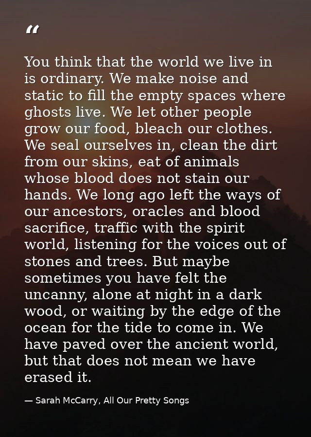 You think that the world we live in is ordinary. We make noise and static to fill the empty spaces where ghosts live. We — Sarah McCarry, All Our Pretty Songs
