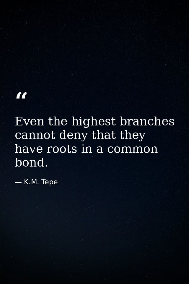 Even the highest branches cannot deny that they have roots in a common bond. — K.M. Tepe