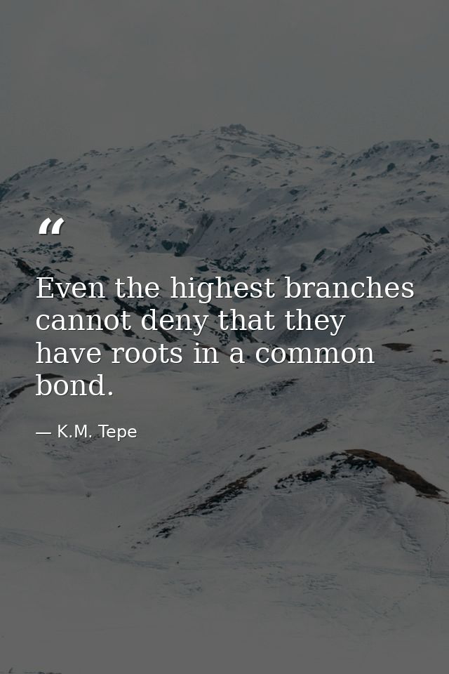 Even the highest branches cannot deny that they have roots in a common bond. — K.M. Tepe