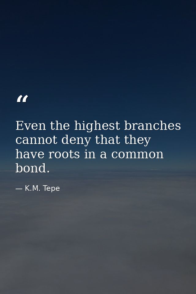 Even the highest branches cannot deny that they have roots in a common bond. — K.M. Tepe