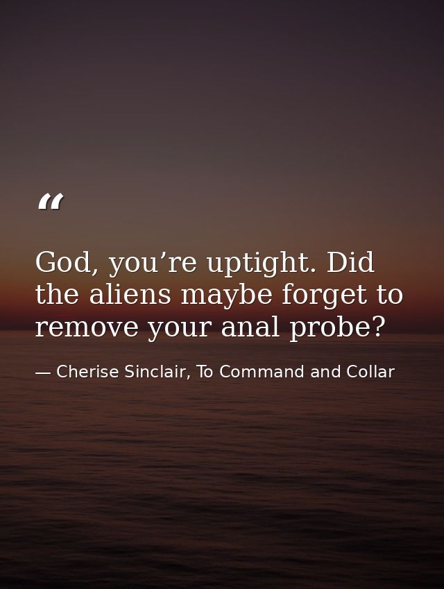 God, you’re uptight. Did the aliens maybe forget to remove your anal probe? — Cherise Sinclair, To Command and Collar