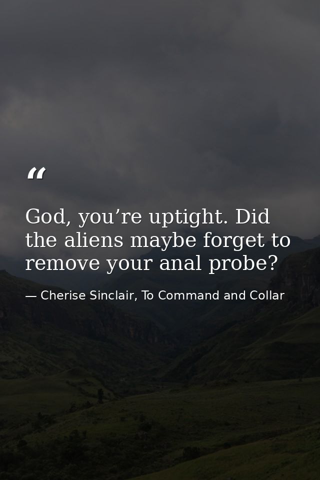 God, you’re uptight. Did the aliens maybe forget to remove your anal probe? — Cherise Sinclair, To Command and Collar