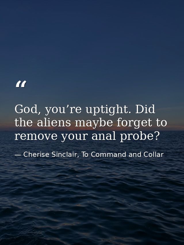 God, you’re uptight. Did the aliens maybe forget to remove your anal probe? — Cherise Sinclair, To Command and Collar