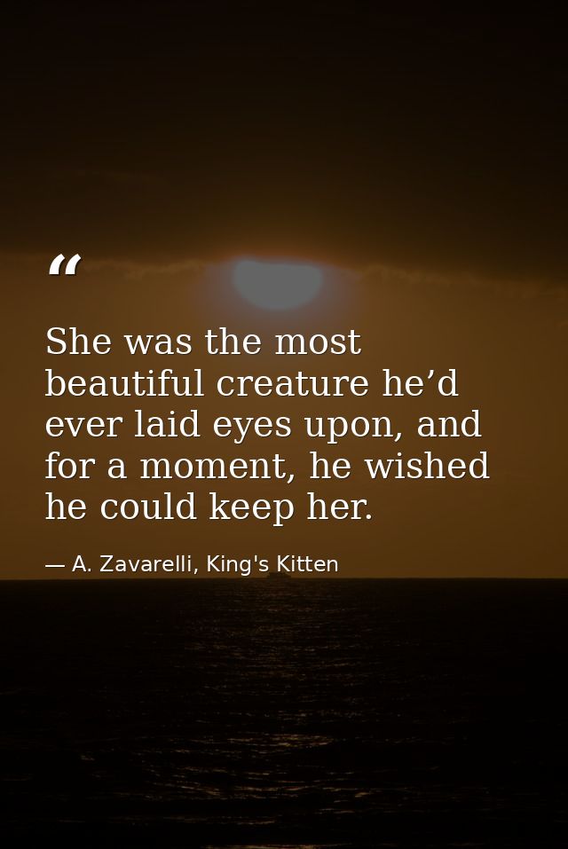 She was the most beautiful creature he’d ever laid eyes upon, and for a moment, he wished he could keep her. — A. Zavarelli, King's Kitten