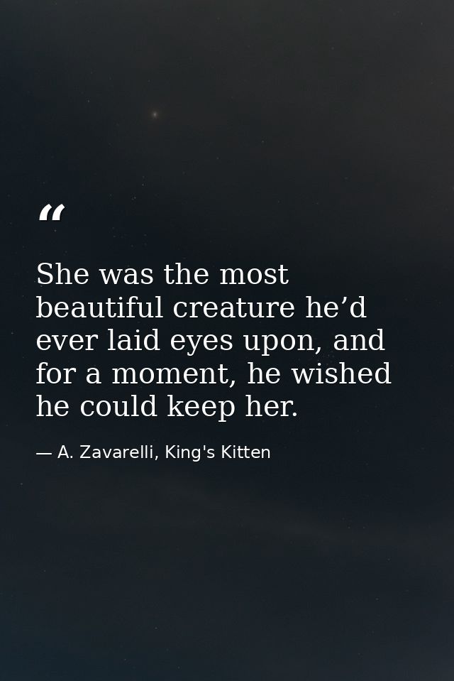 She was the most beautiful creature he’d ever laid eyes upon, and for a moment, he wished he could keep her. — A. Zavarelli, King's Kitten