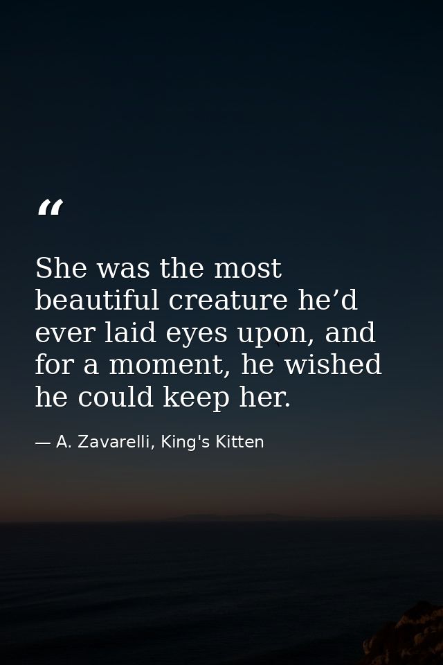 She was the most beautiful creature he’d ever laid eyes upon, and for a moment, he wished he could keep her. — A. Zavarelli, King's Kitten
