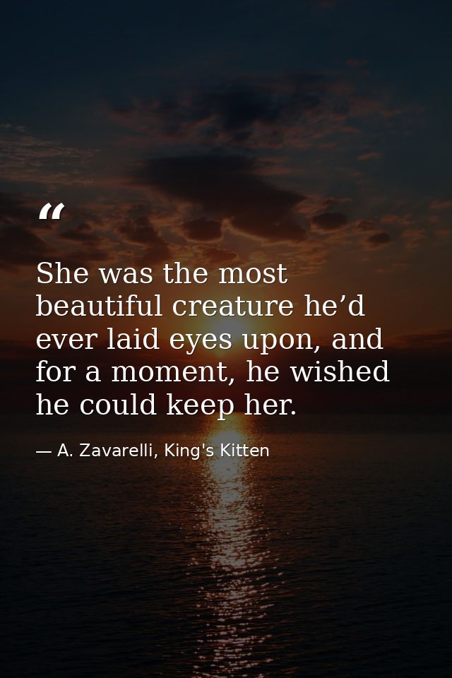 She was the most beautiful creature he’d ever laid eyes upon, and for a moment, he wished he could keep her. — A. Zavarelli, King's Kitten