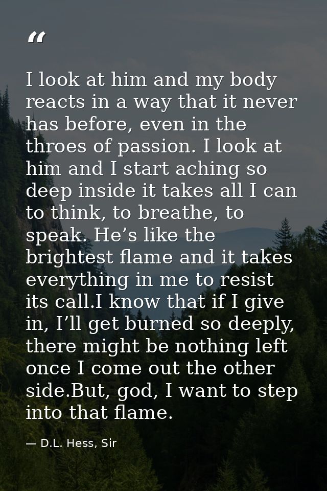 I look at him and my body reacts in a way that it never has before, even in the throes of passion. I look at him and I s — D.L. Hess, Sir