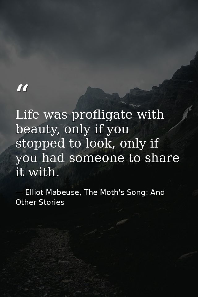 Life was profligate with beauty, only if you stopped to look, only if you had someone to share it with. — Elliot Mabeuse, The Moth's Song: And Other Stories