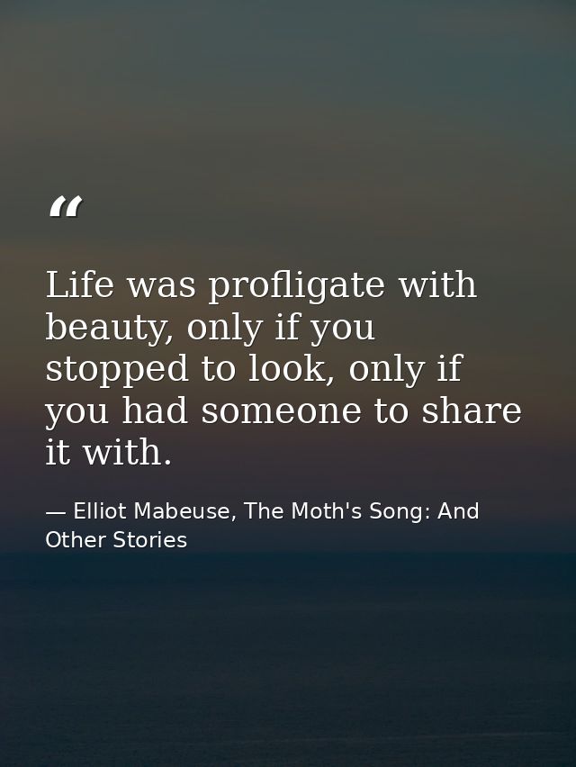 Life was profligate with beauty, only if you stopped to look, only if you had someone to share it with. — Elliot Mabeuse, The Moth's Song: And Other Stories