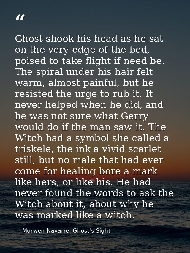 Ghost shook his head as he sat on the very edge of the bed, poised to take flight if need be. The spiral under his hair  — Morwen Navarre, Ghost's Sight
