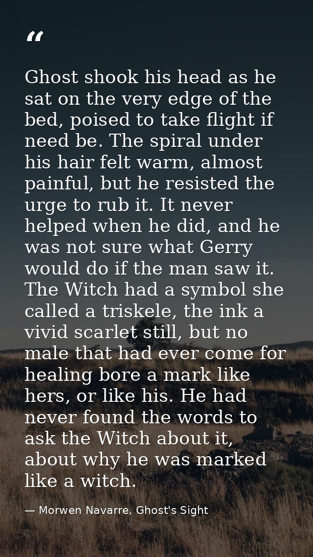Ghost shook his head as he sat on the very edge of the bed, poised to take flight if need be. The spiral under his hair  — Morwen Navarre, Ghost's Sight
