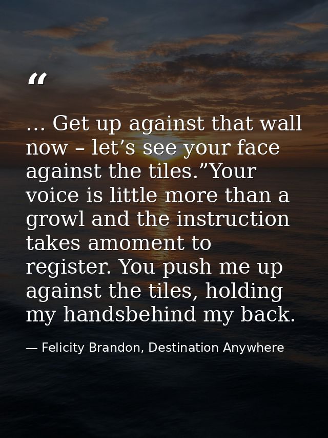 … Get up against that wall now – let’s see your face against the tiles.”Your voice is little more than a growl and the i — Felicity Brandon, Destination Anywhere