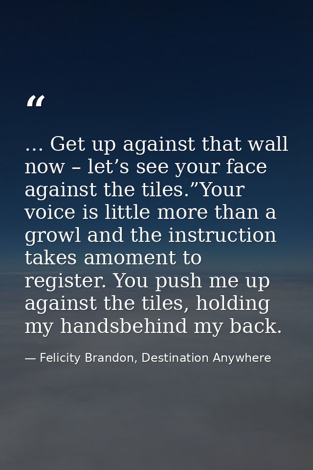 … Get up against that wall now – let’s see your face against the tiles.”Your voice is little more than a growl and the i — Felicity Brandon, Destination Anywhere
