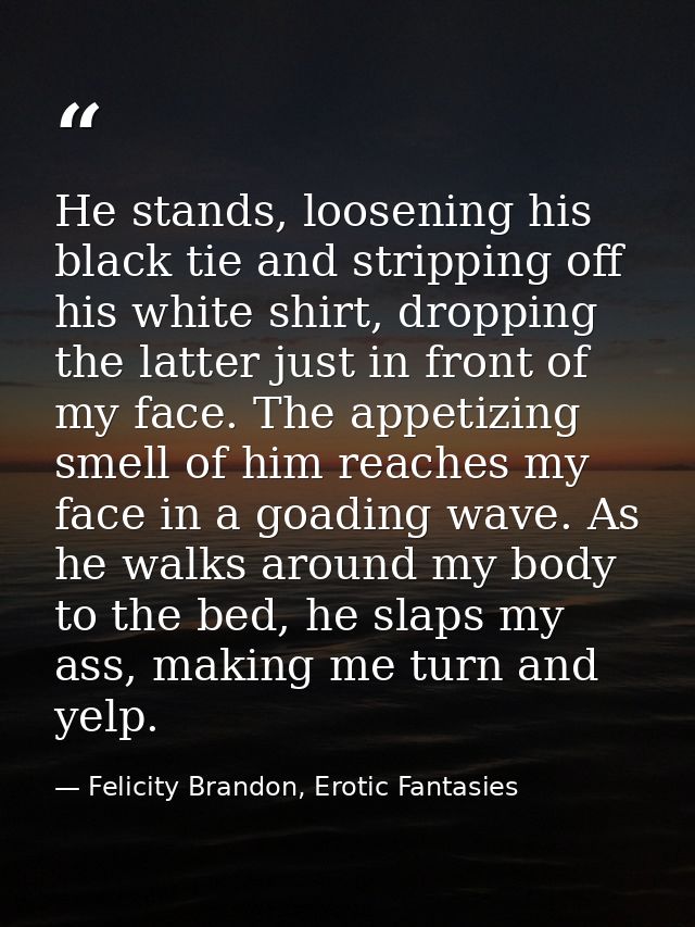 He stands, loosening his black tie and stripping off his white shirt, dropping the latter just in front of my face. The  — Felicity Brandon, Erotic Fantasies