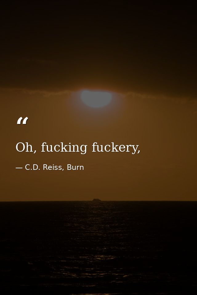 Oh, fucking fuckery, — C.D. Reiss, Burn