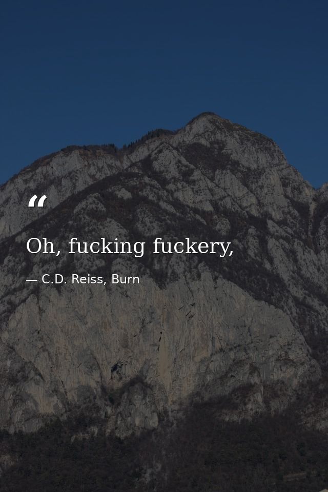Oh, fucking fuckery, — C.D. Reiss, Burn