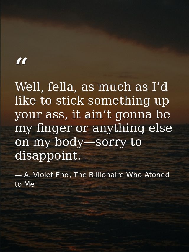 Well, fella, as much as I’d like to stick something up your ass, it ain’t gonna be my finger or anything else on my body — A. Violet End, The Billionaire Who Atoned to Me