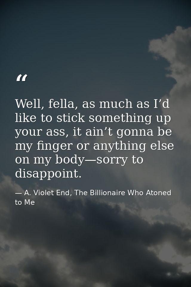 Well, fella, as much as I’d like to stick something up your ass, it ain’t gonna be my finger or anything else on my body — A. Violet End, The Billionaire Who Atoned to Me