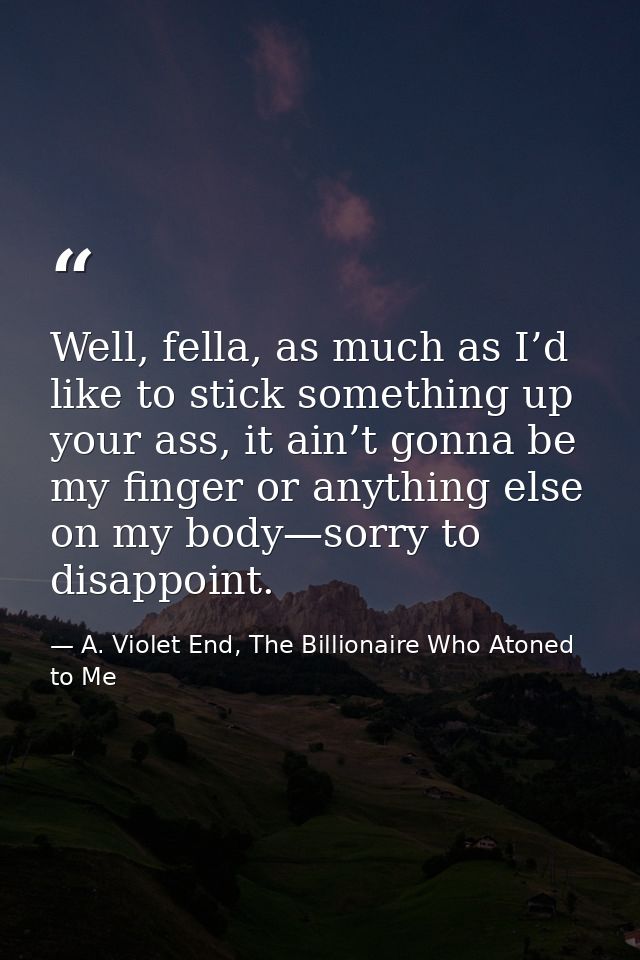 Well, fella, as much as I’d like to stick something up your ass, it ain’t gonna be my finger or anything else on my body — A. Violet End, The Billionaire Who Atoned to Me