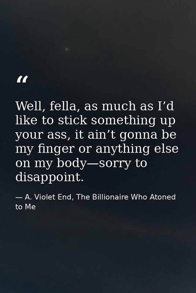 Well, fella, as much as I’d like to stick something up your ass, it ain’t gonna be my finger or anything else on my body — A. Violet End, The Billionaire Who Atoned to Me