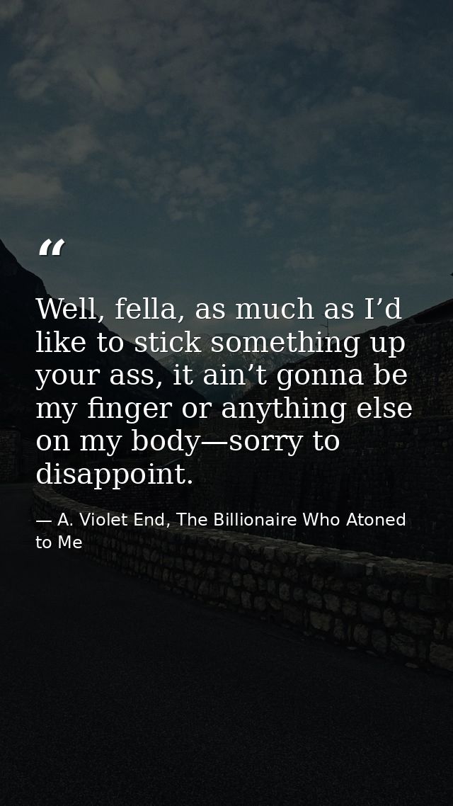 Well, fella, as much as I’d like to stick something up your ass, it ain’t gonna be my finger or anything else on my body — A. Violet End, The Billionaire Who Atoned to Me