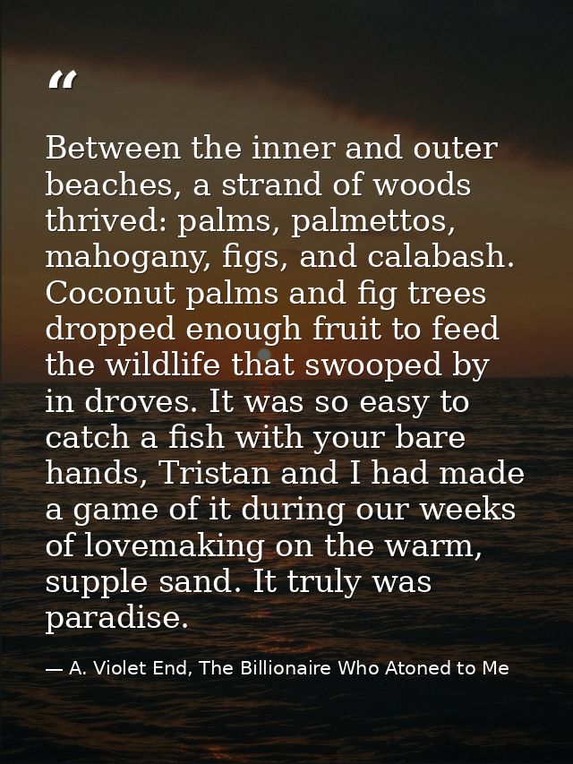 Between the inner and outer beaches, a strand of woods thrived: palms, palmettos, mahogany, figs, and calabash. Coconut  — A. Violet End, The Billionaire Who Atoned to Me