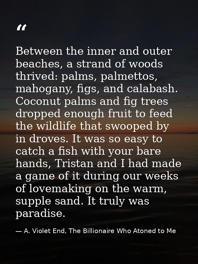 Between the inner and outer beaches, a strand of woods thrived: palms, palmettos, mahogany, figs, and calabash. Coconut  — A. Violet End, The Billionaire Who Atoned to Me
