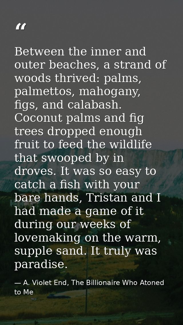 Between the inner and outer beaches, a strand of woods thrived: palms, palmettos, mahogany, figs, and calabash. Coconut  — A. Violet End, The Billionaire Who Atoned to Me
