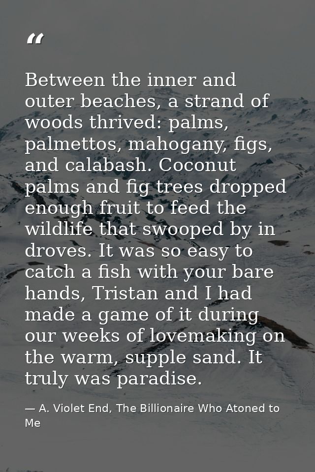 Between the inner and outer beaches, a strand of woods thrived: palms, palmettos, mahogany, figs, and calabash. Coconut  — A. Violet End, The Billionaire Who Atoned to Me