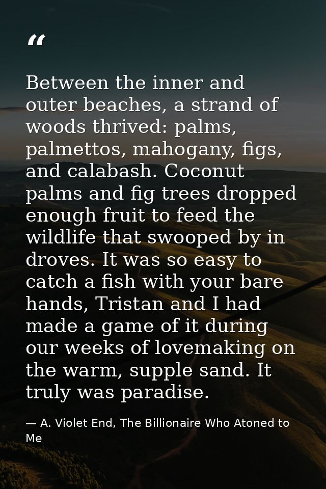 Between the inner and outer beaches, a strand of woods thrived: palms, palmettos, mahogany, figs, and calabash. Coconut  — A. Violet End, The Billionaire Who Atoned to Me