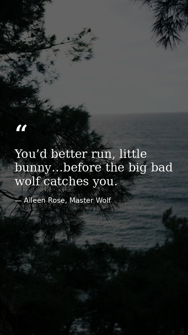 You’d better run, little bunny…before the big bad wolf catches you. — Aileen Rose, Master Wolf