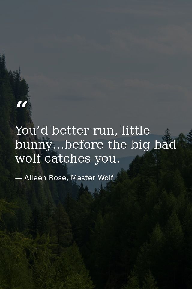 You’d better run, little bunny…before the big bad wolf catches you. — Aileen Rose, Master Wolf